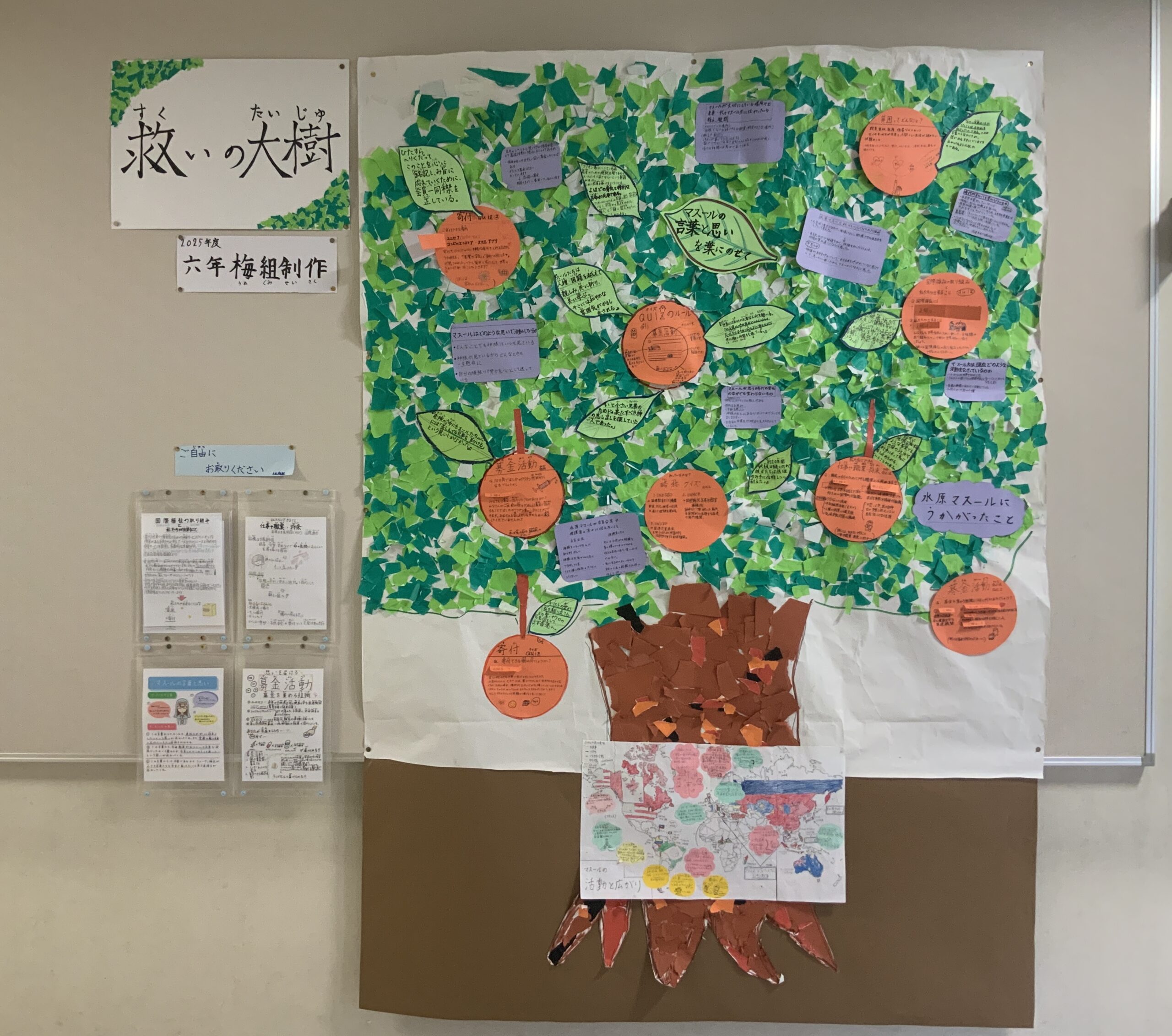 6年生 総合の学習から | NEWS & TOPICS | 白百合学園小学校